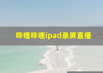 哔哩哔哩ipad录屏直播