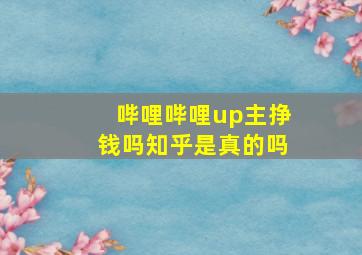 哔哩哔哩up主挣钱吗知乎是真的吗