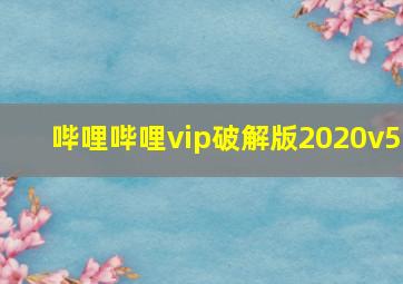 哔哩哔哩vip破解版2020v5