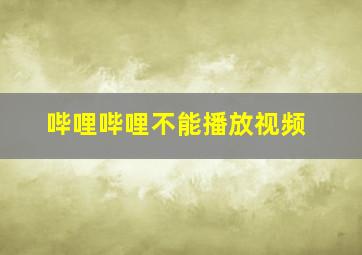 哔哩哔哩不能播放视频