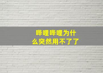 哔哩哔哩为什么突然用不了了