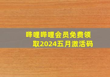 哔哩哔哩会员免费领取2024五月激活码