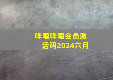 哔哩哔哩会员激活码2024六月