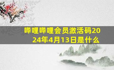 哔哩哔哩会员激活码2024年4月13日是什么