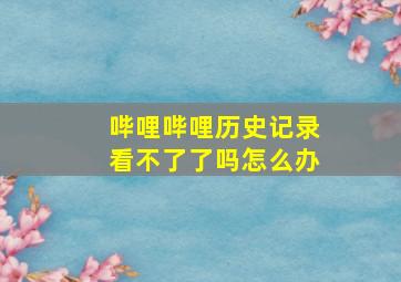 哔哩哔哩历史记录看不了了吗怎么办