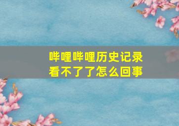 哔哩哔哩历史记录看不了了怎么回事