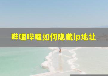 哔哩哔哩如何隐藏ip地址