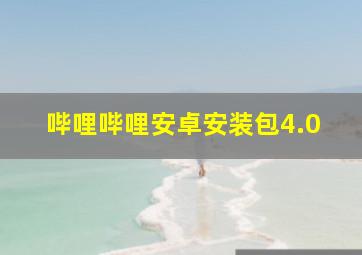 哔哩哔哩安卓安装包4.0