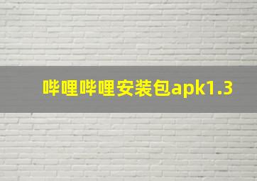 哔哩哔哩安装包apk1.3