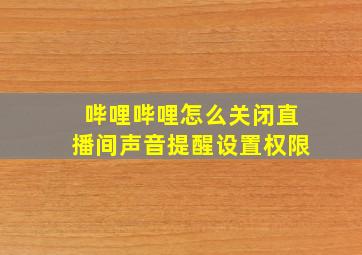 哔哩哔哩怎么关闭直播间声音提醒设置权限