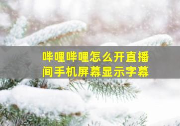 哔哩哔哩怎么开直播间手机屏幕显示字幕