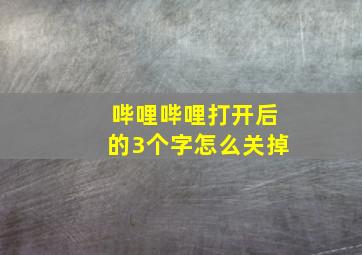 哔哩哔哩打开后的3个字怎么关掉