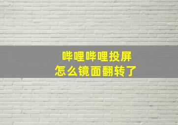 哔哩哔哩投屏怎么镜面翻转了