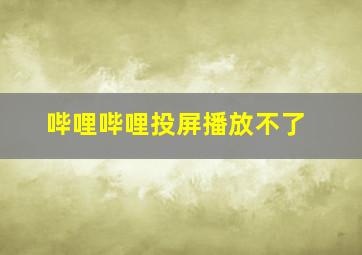 哔哩哔哩投屏播放不了