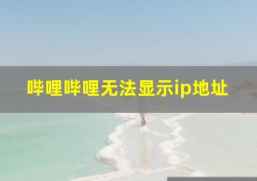 哔哩哔哩无法显示ip地址