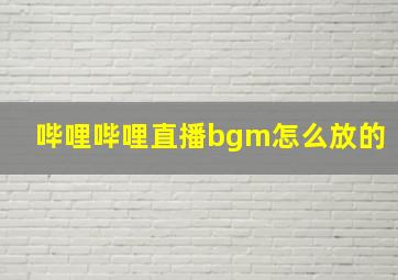 哔哩哔哩直播bgm怎么放的