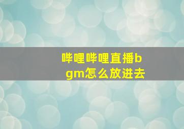 哔哩哔哩直播bgm怎么放进去