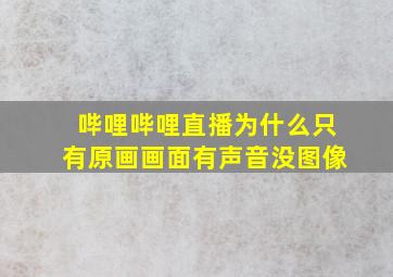 哔哩哔哩直播为什么只有原画画面有声音没图像