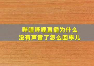 哔哩哔哩直播为什么没有声音了怎么回事儿