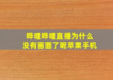 哔哩哔哩直播为什么没有画面了呢苹果手机