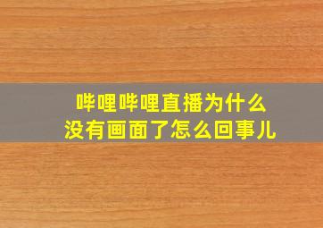 哔哩哔哩直播为什么没有画面了怎么回事儿