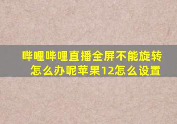 哔哩哔哩直播全屏不能旋转怎么办呢苹果12怎么设置