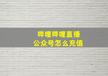 哔哩哔哩直播公众号怎么充值