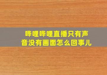 哔哩哔哩直播只有声音没有画面怎么回事儿