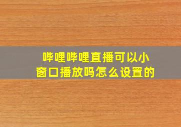 哔哩哔哩直播可以小窗口播放吗怎么设置的