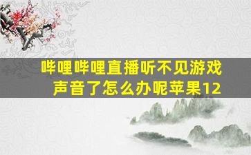 哔哩哔哩直播听不见游戏声音了怎么办呢苹果12