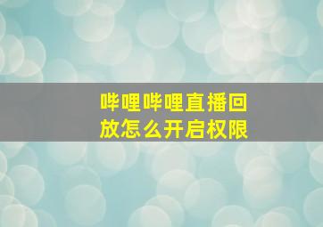 哔哩哔哩直播回放怎么开启权限