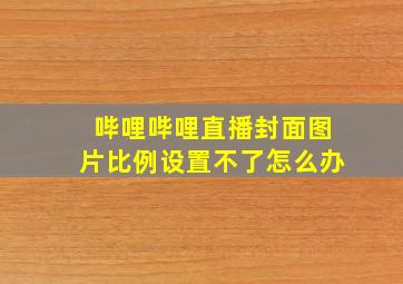 哔哩哔哩直播封面图片比例设置不了怎么办