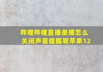 哔哩哔哩直播录播怎么关闭声音提醒呢苹果12