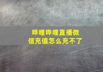 哔哩哔哩直播微信充值怎么充不了