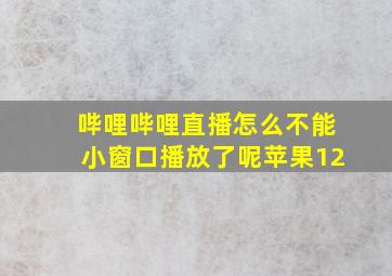 哔哩哔哩直播怎么不能小窗口播放了呢苹果12