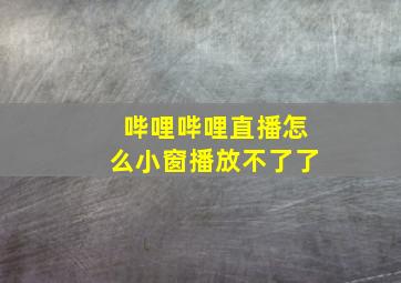 哔哩哔哩直播怎么小窗播放不了了