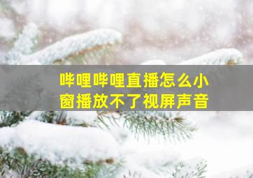 哔哩哔哩直播怎么小窗播放不了视屏声音