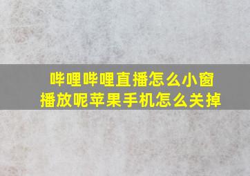 哔哩哔哩直播怎么小窗播放呢苹果手机怎么关掉