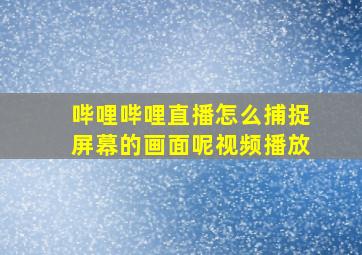 哔哩哔哩直播怎么捕捉屏幕的画面呢视频播放