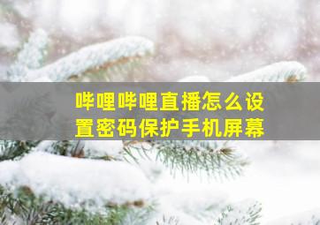 哔哩哔哩直播怎么设置密码保护手机屏幕