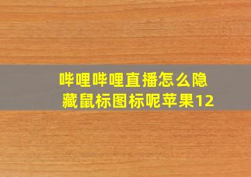 哔哩哔哩直播怎么隐藏鼠标图标呢苹果12