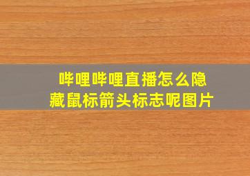 哔哩哔哩直播怎么隐藏鼠标箭头标志呢图片