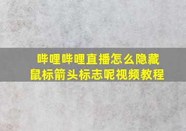 哔哩哔哩直播怎么隐藏鼠标箭头标志呢视频教程