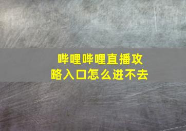 哔哩哔哩直播攻略入口怎么进不去