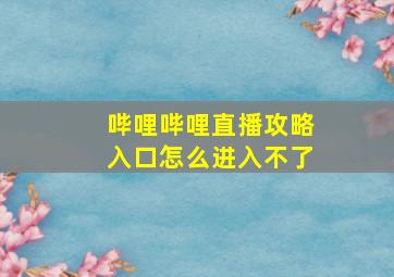 哔哩哔哩直播攻略入口怎么进入不了