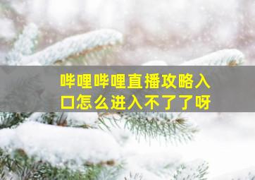 哔哩哔哩直播攻略入口怎么进入不了了呀