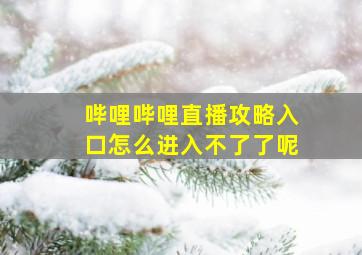 哔哩哔哩直播攻略入口怎么进入不了了呢