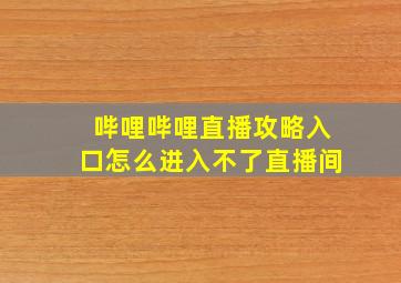 哔哩哔哩直播攻略入口怎么进入不了直播间