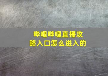 哔哩哔哩直播攻略入口怎么进入的