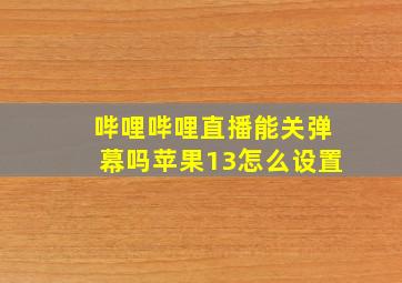 哔哩哔哩直播能关弹幕吗苹果13怎么设置